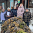 Благодарность волонтёрам - Клубная система Карабашского городского округа